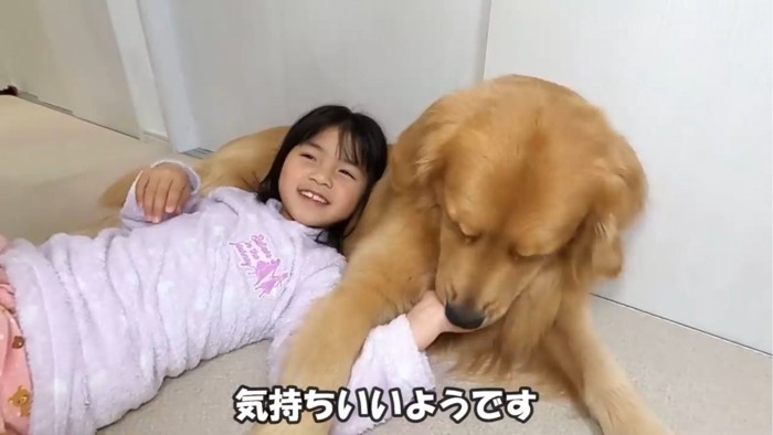 手に甘噛みする犬