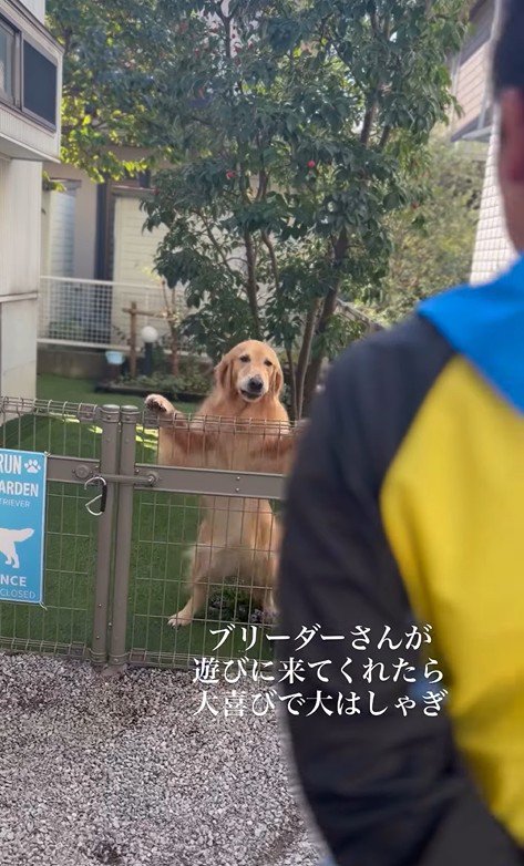 そら君とブリーダーさんの再会