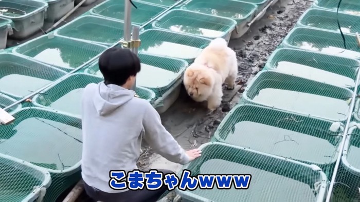 なんとか救出された