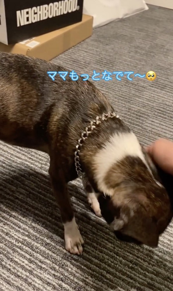お母さんにどんどん近づきます