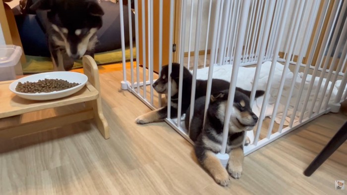 個性的な寝方が可愛い♡