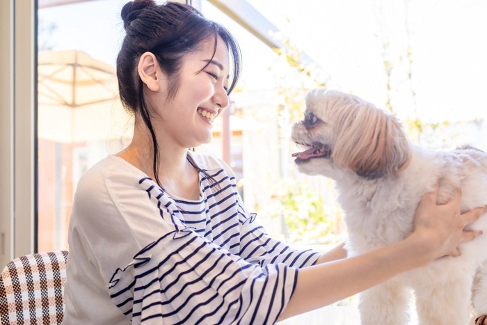 シーズーと遊ぶ女性