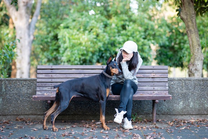 ベンチで愛犬を見つめる女性
