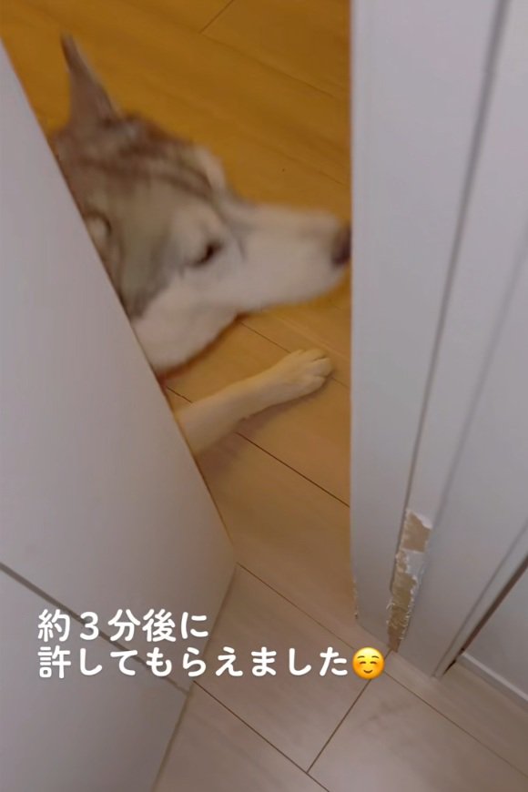 体をずらすセナくん