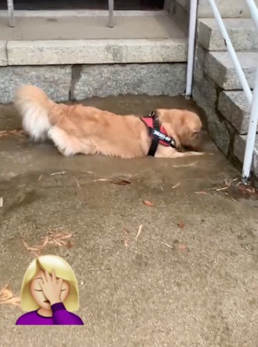 泥水にダイブ!