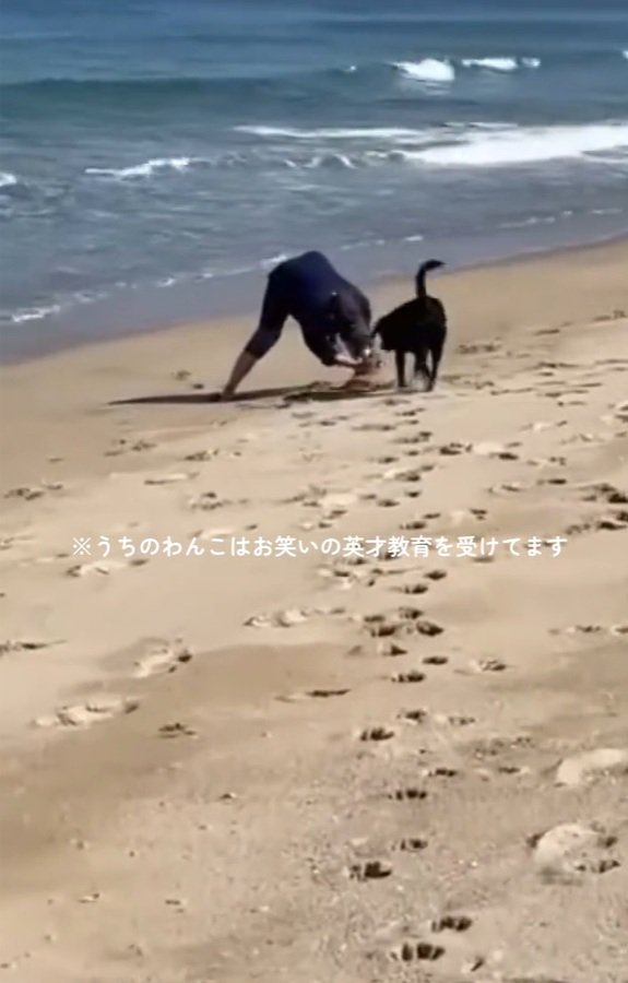 砂山を見るロコくん