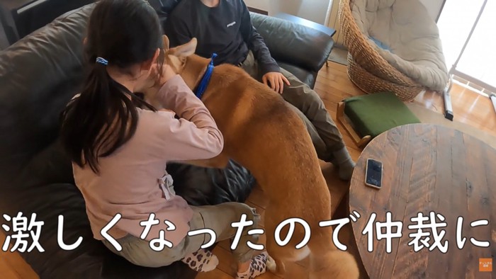 「もうやめなさい!」