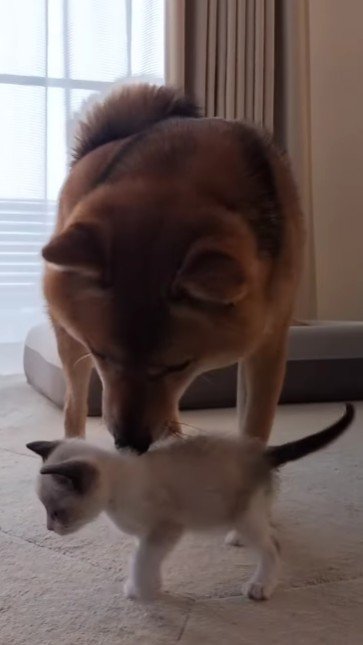 すっかり虜に♡