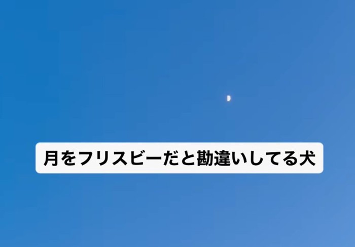 夜空に浮かぶ月