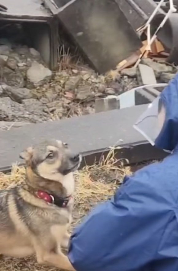 戻ってきたまる君