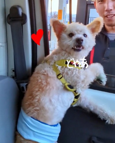 嬉しそうに振り返る犬