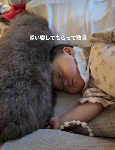 尊すぎる添い寝…！