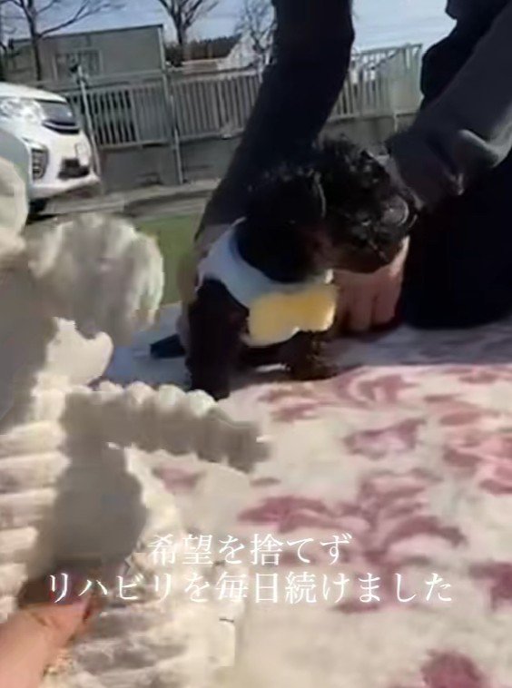 絶対に希望を捨てない…