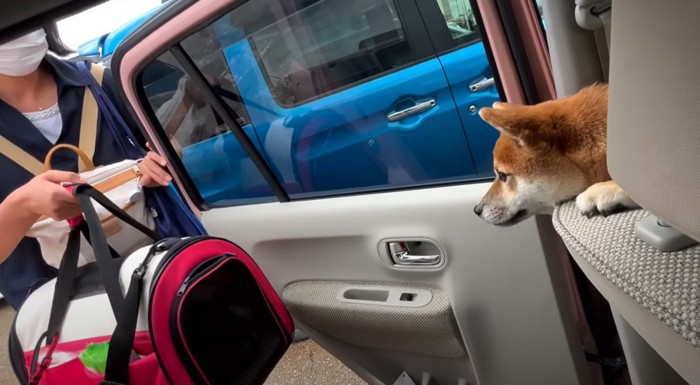 車に乗り込む人