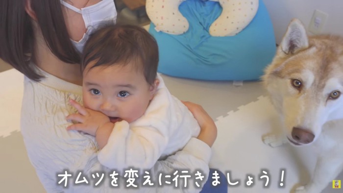 おむつが原因だった!!