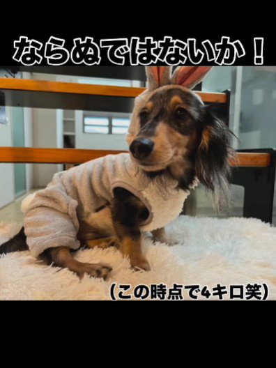 服が合わない…