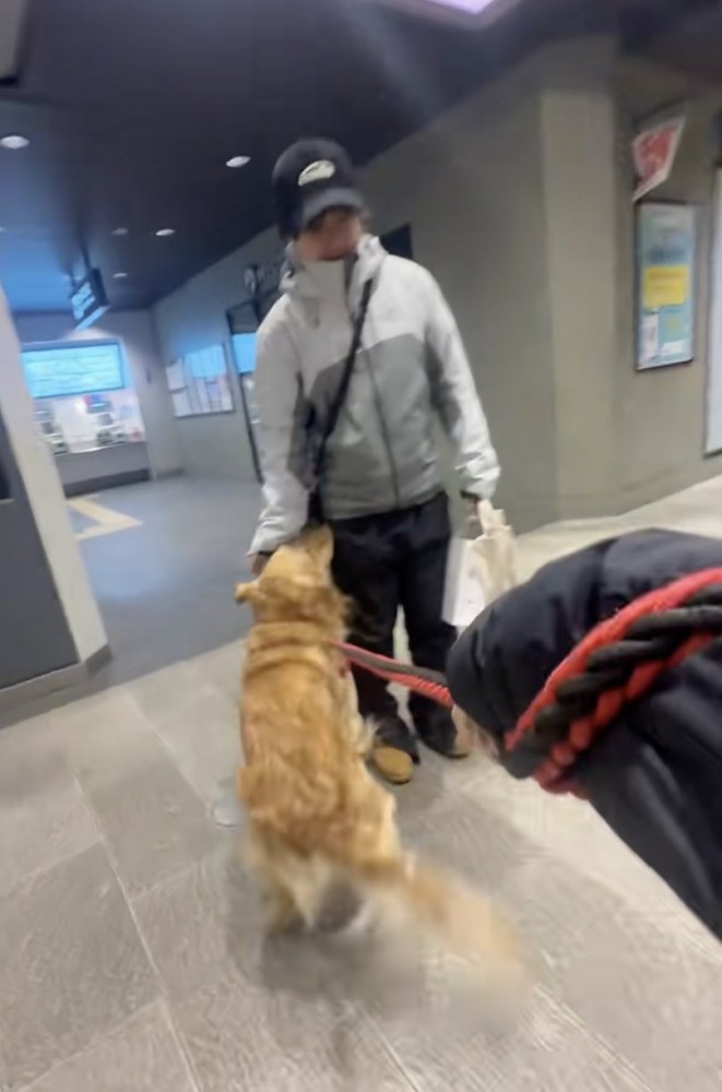 尻尾ブンブンッ