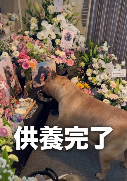 プロ級の供養！？