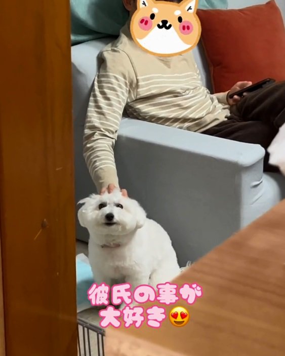彼氏に撫でられるもこちゃん