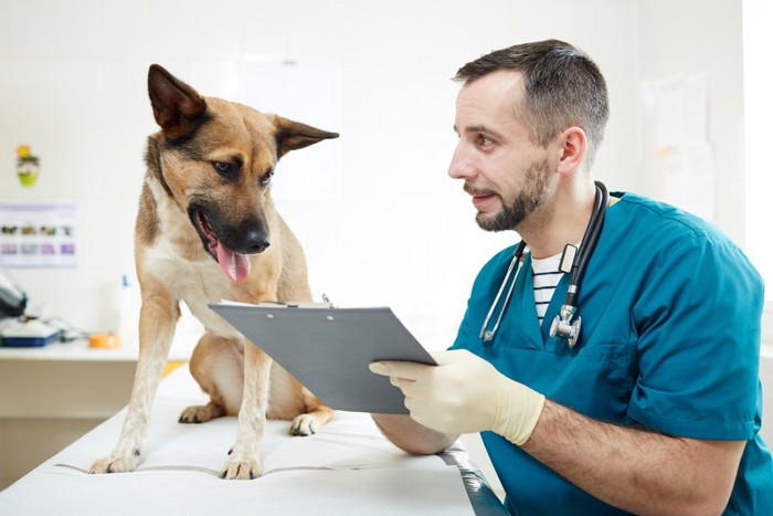 診察について節目している医者と話を聞く犬