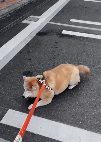 唐突な伏せ