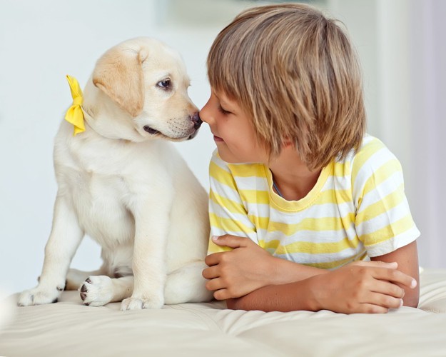 見つめ合う子供と犬