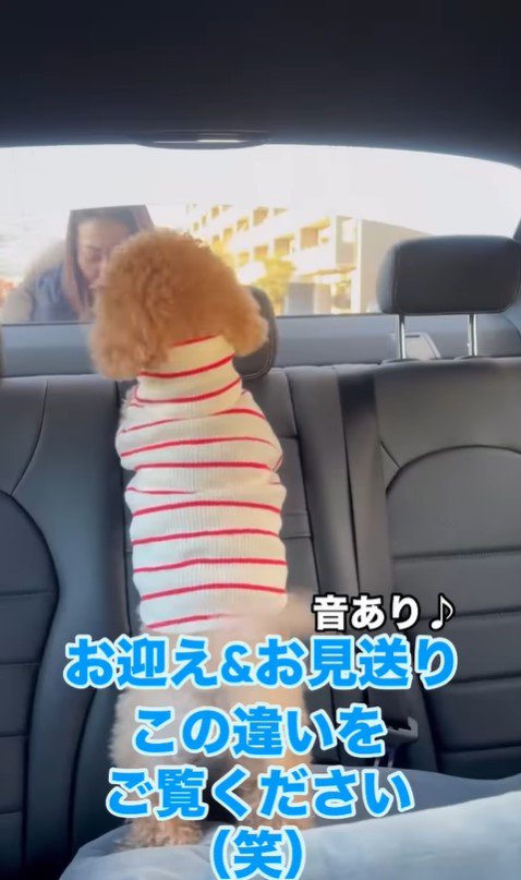 ノアくんのお迎え＆お見送り4