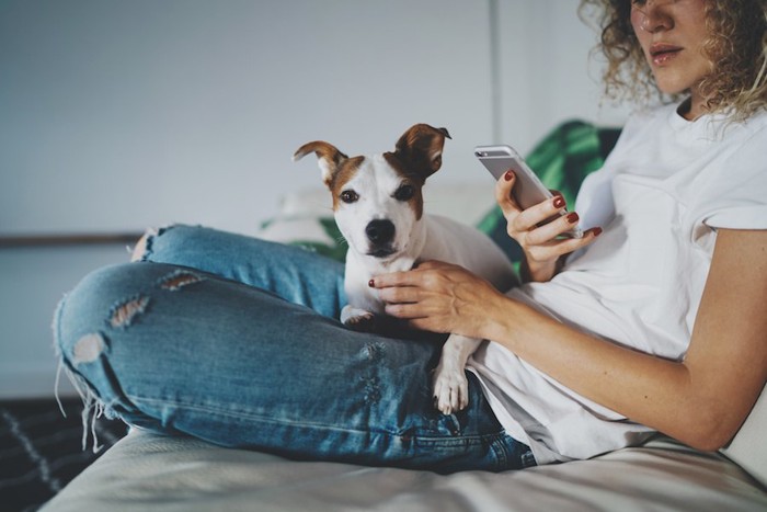 犬を膝においてスマホを見る女性