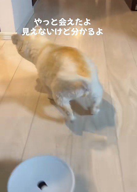 お兄ちゃんの気配が…