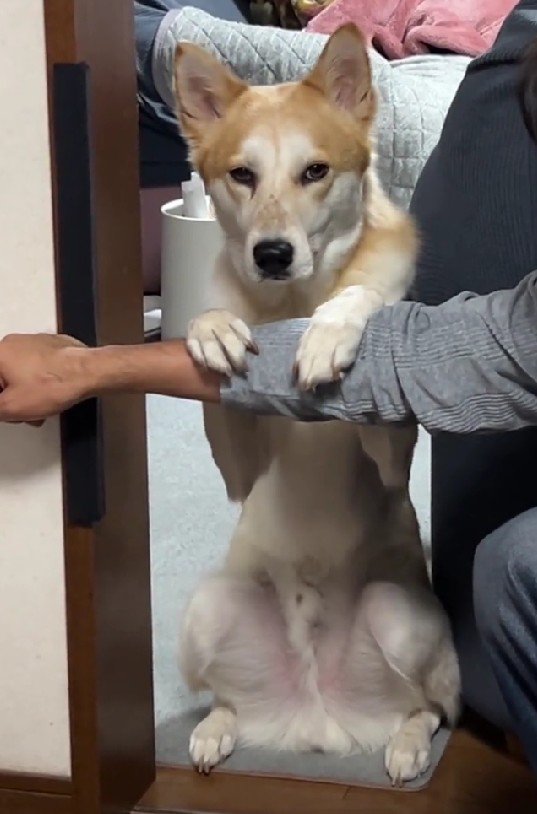 何度もやってると…