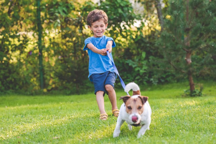 愛犬と散歩する男の子