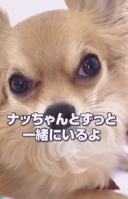 「本当に？」