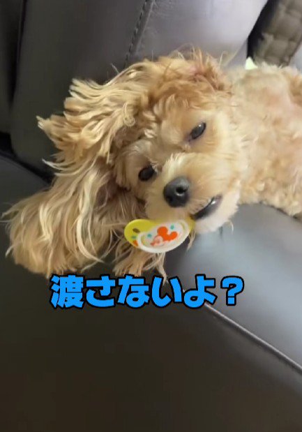 「これは私の!!」