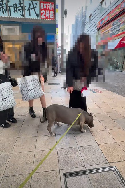 スリスリ近寄って…