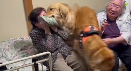 最上級の喜びアピール♡