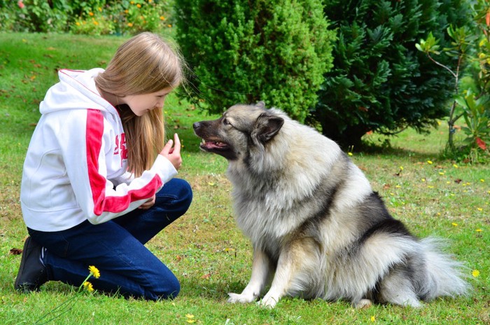 女性と犬