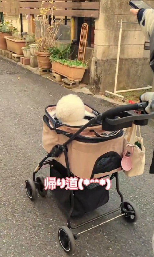 いい経験になったね♪