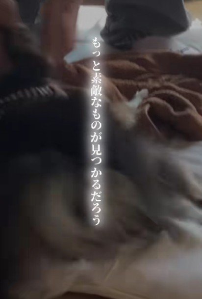運命の出会い