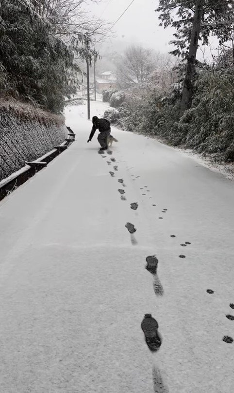 初雪ではしゃぎすぎた結果3