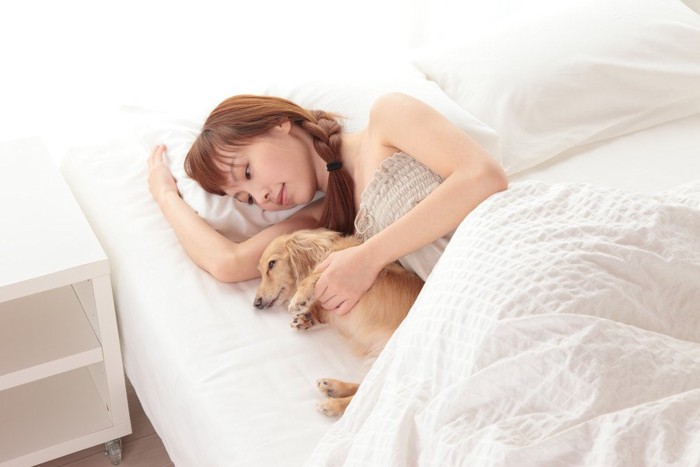 女性のお腹付近で眠る犬