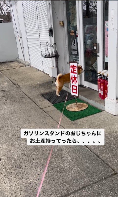 ガソリンスタンドを訪れたハナちゃん⑩