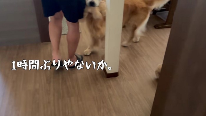 喜びが止まらないベンツくん