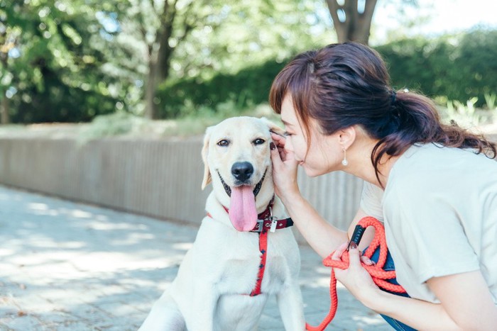 散歩中に犬を褒める女性