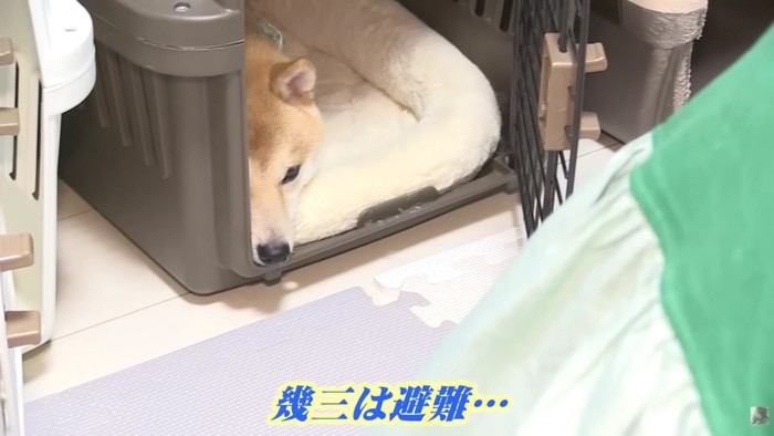 幾三くんは鏡が苦手