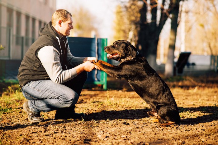 犬の両手を掴む飼い主