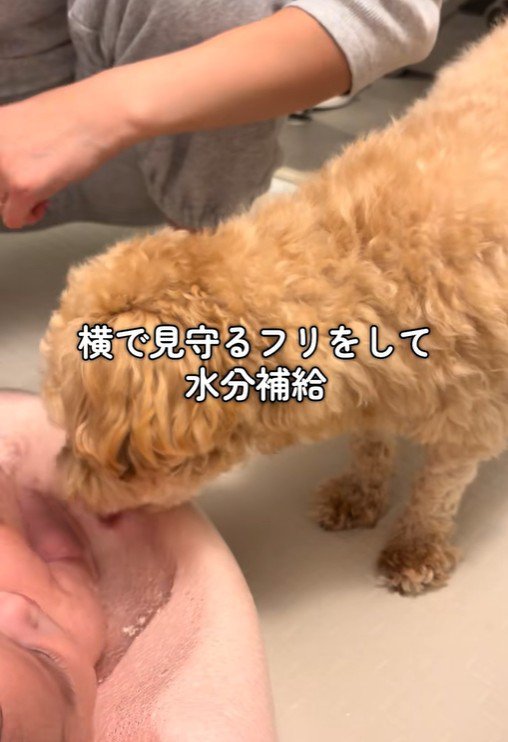 たわし君のナイトルーティン4