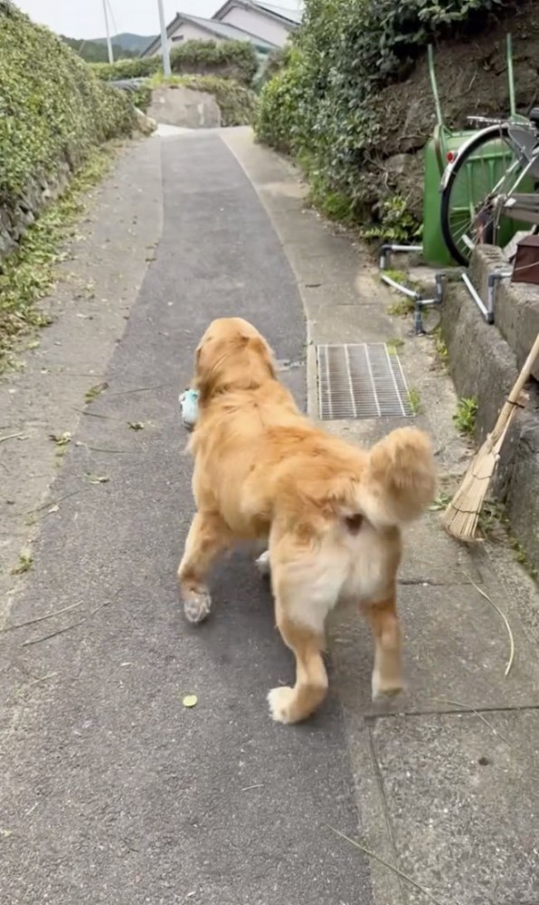 任務完了〜