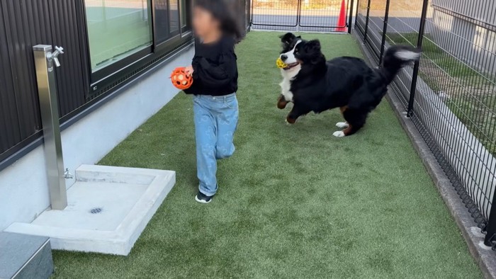 無邪気にはしゃぐ姿が尊い!