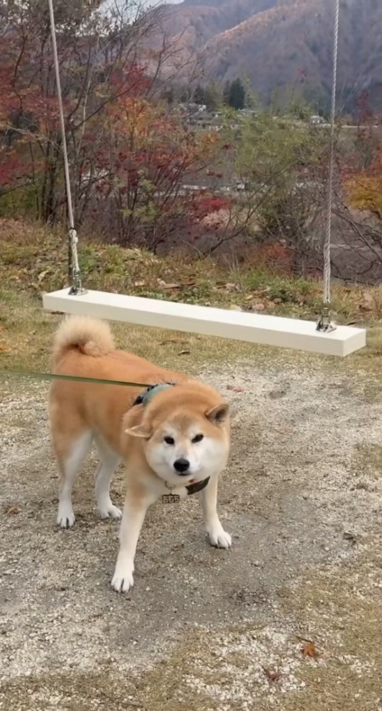 親子みたいなやり取りにクスッ