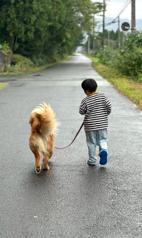 散歩する投稿主の息子と大型犬